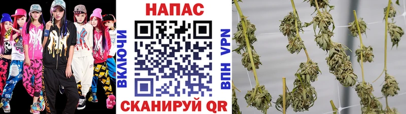 Канабис AK-47  Купить где  Бакал 